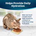 Blue Buffalo Tastefuls Flaked Wet Cat Food, Made with Natural Ingredients, Tuna, 3-oz Cans (24 Count) (4.5 Pound (Pack of 1))