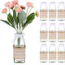10 Sets Vintage Farmhouse Flower Vases for Centerpieces Clear Glass Vases with Hemp Rope Design Rustic Farmhouse Wedding Boho Rustic Table Decoration for Home Table Decor Wedding Decoration