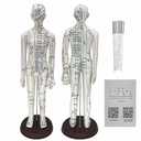 Body Acupuncture Model 20.5" - with English Points, Acupuncture Doll, Meridians Acupuncture Point Model, High Definition Clear Acupoint for Student Practice, Acupuncturists Training (Female Model)