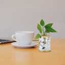 POPETPOP Hydroponic Vase Lid with Hole Wooden Cork Cover for Glass Planter Ventilated Hydroponic Plant Holder Compact 2.56 Inch Lid for Micro Landscape and Indoor Gardening