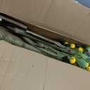 Jexine 2 Pack Artificial Lemon Tree 6 ft Tall Fake Plant Pre Potted Faux Lemon Tree Realistic Fruits for Indoor Home Decor Office Living Room