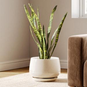 LE TAUCI Ceramic Planters, 10 Inch Plant Pot with Drainage Holes and Saucers, Stylish and Durable Planter, Plant Pots Indoor, Gift for Mom, Reactive Glaze Beige