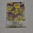 Viola, Clear Crystal Black