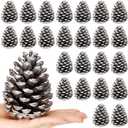 Janinka 24 Pcs Large Silver Christmas Glitter Pine Cones 4 Inch Pine Cone Ornaments Artificial Christmas Pinecone Decorations for Xmas Tree Vase Fillers Garland Wreath DIY Craft