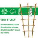 Natural Bamboo Trellis 24 Inches Tall, Mininfa Garden Ladder Trellis, Plant for Climbing Plants, Vegetables, Pots - 3 Pack