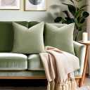 22x22 Velvet Pillow Covers Set of 2 Sage Green Decorative Square Throw Pillowcase Soft Solid Cushion Covers for Bedroom Living Room Outdoor Indoor Decoration