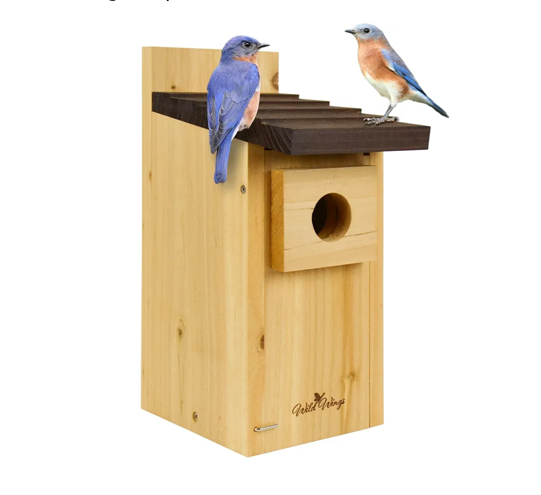 Wild Wings WWCH3 Cedar Blue Bird Box House