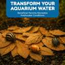 SunGrow 50 Pack Catappa Indian Almond Leaves for Snails and Crayfish, Mini Raw Dried Leaf for Fish Tank Aquarium, Maintains pH Levels
