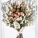 11x14 Acrylic Shadow Box, Assemble Display Case, DIY Tabletop/Wall Mount Display Frame, All Clear Memory Box for Dried Flowers/Kids Room/Birthday/Wedding(11x14x3, Need to be Assemble)