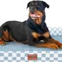 Large Dog Bed Orthopedic Washable: Beds Bolster XXL Bed Big XLarge Dogs Egg Crate Foam Sofa Couch Waterproof Removable Cover - Blue Grid (44.0"L x 34.0"W x 6.5"Th)