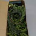 6 FT Christmas Garland with Lights, Battery Operated Pre-Lit Pine Cone Greenery, 20 Warm LEDs Artificial Xmas Decor with Timer, Holiday Decoration for Indoor Mantel Staircase Doorway Window