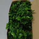 Dingion 6 ft Artificial Boxwood Garland Spring Faux Greenery Garland Preserved Green Leaves Fake Vines Hanging Plant Realistic Green Decor for UV Outdoor Indoor Wedding Backdrop Arch Wall Table