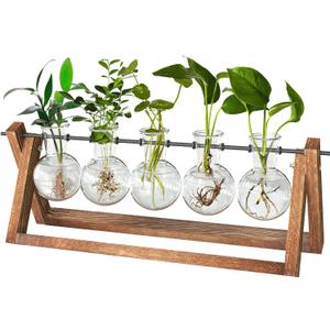 CFMOUR Plant Terrarium with Wooden Stand, Desktop Propagation Stations Glass Air Planter Metal Swivel Holder for Indoor Live Hydroponics Plants Office Home Garden Decor (5 Bulb Vase)