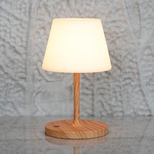 Outdoor Table Lamp/Cordless USB Rechargeable 4000mAh / 2700K LED/Touch Dimmable/Portable Battery Operated / IP44 Waterproof/PE Shade/Bedroom Dinning Camping Patio (9.6in, Wood Grain)
