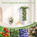 Garden Trellis for Climbing Plants Outdoor,70.9 Inch Mushroom Top Trellis, Height Adjustable Thick Twisted PE-Coated Metal Pipe,Plant Support for Potted Plants Vine Rose Clematis Vegetables