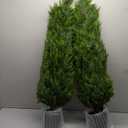COMUSTER 4FT Artificial Cedar Topiary Trees for Outdoors Potted Fake Cypress Trees Faux Evergreen Plants for Home Porch Decor Set of 2