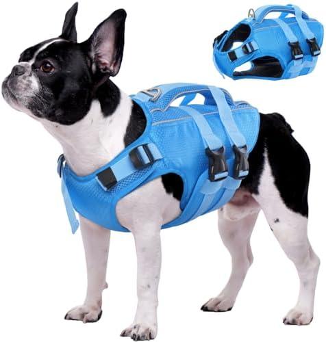 Kuoser Dog Life Jacket High Flotation, Reflective Dogs Life Vest for Swimming Boating, Adjustable Small Medium Large Dog lifejacket, Lightweight Dogs Life Preserver Rescue Handle Spring Summer Pool, Small