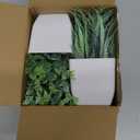 Der Rose 2 Pack Small Fake Plants Mini Artificial Potted Plants for Table Desk Home Laundry Room Bathroom Office Decor