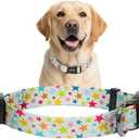 Kazazoo Dog Collar Cute and Soft Nylon Puppy Collar for Boy and Girl, Adjustable Dog Collars for Medium Large Dogs, Colorful Stars-L Pack of 2
