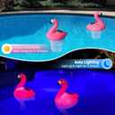 Solar Pool Chlorine Floater, Flamingo Chlorine Floater with Light, Glow in Dark Chlorine Tablet Floater, Chlorine Floater for 3 inch Tablets, Floating Chlorine Dispenser for Pool(Red, 11 in)
