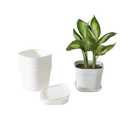 Small Pots for Plants 5,5 inch Plant Pot Indoor Square Mini Plastic Flower Pots Outdoor for Garden (White-5pcs, 5,5 inch)