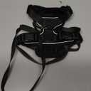 rabbitgoo Escape Proof Dog Harness, Soft Padded Full Body Pet Harness, Reflective Adjustable No Pull Vest with Lift Handle and Leash Clip for Large Dogs Walking Hiking Training, S, Black (Small (Pack of 1))