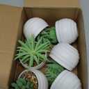 Der Rose 6 Pack Fake Plants Small Realistic Succulents Plants Artificial for Home Room Decor Indoor