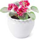 African Violet Flower Pot Ceramic Self Watering Flower Pot 6.5 * 4.6 * 4 inch Simple Plant Self Watering Pot Indoor Flowers High Absorption Herbaceous Flower Pots Modern Decor Pots (White)