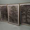 HOURIA Vintage Tree Sketch Framed Canvas Wall Art Set,Natural Brown and Gray Woodland Wall Decor,Mid Century Nature Forest Artwork,Textured Botanical Art Print for Living Room,Bedroom,Office-16"x24" x3