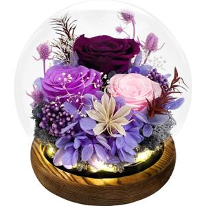 FIACO Mothers Day Flowers Gifts for Mom Flowers for Delivery Prime Birthday Gifts for Women Grandma Gifts Forever Preserved Fresh Eternal Rose in Glass Dome for Girlfriend Wife Her
