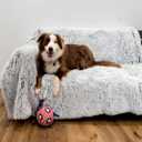 PJYuCien Dog Blankets for Medium Large Dogs Washable - Fluffy Fuzzy Cat Blanket for Couch, Puppy Throw for Furniture with Polyester Fleece, Super Soft Plush for Pet Kitten Doggy, Grey, 50" x 60"