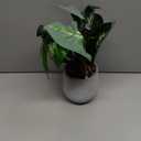 Der Rose 16'' Fake Plants Artificial Potted Greenery Faux Plants for Office Desk Home Bathroom Decor