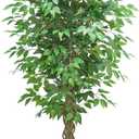6FT Artificial Ficus Tree, Tall Fake Tree
