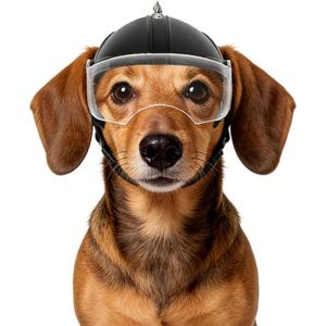 Namsan Dog Helmets for Small Dogs, Dog Helmet with Clear Lens Goggles, Doggie Helmets Hat with Ear Holes, Bike Doggie Helmet for Small to Medium Dogs, Adjustable, Top Spikes, Black (Flip-Up Visor+Rivets)
