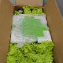 6FT Pre-lit Christmas Tree with Lights - Bendable Whimsical Christmas Tree for Christmas Decorations Indoor/Outdoor or Porch Decor, 170 Lights / 460 Tips / 8 Flashing Modes