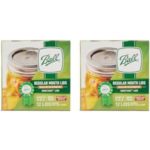 Ball Regular Mouth Mason Glass Jar Lids (24-Count), Silver