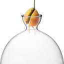 Avocado Tree Growing Kit,Avocado Seed Starter Vase,Glass Plant Pot with Avocado Stickers,Plant Indoor Grow Gardening Gifts