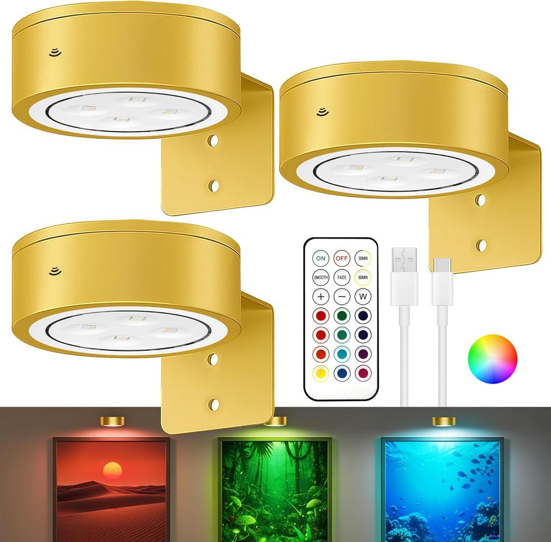 3-Pack Picture Lights for Wall, 13 RGB Color Changing Led Art Display Light with Rechargeable Battery Operated, Magnetic Painting Light with Remote Control, Wireless Home Wall Decorative Lighting