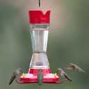Perky-Pet Pinch-Waist Glass Hummingbird Feeder 16 oz Nectar Capacity - Wide Mouth Humming bird Feeder - Bee Guards, Ant Moats, Durable Glass Bottle - 210PB, Easy to Clean