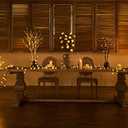 LITBLOOM Lighted Birch Twig Tree with Fairy Lights 4FT 200 LED Lights for Indoor Outdoor Home Christmas Easter Holiday Decoration