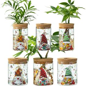 Christmas Vase, Christmas Themed Propagation Stations, Glass Propagation Vases for Plants, Cuttings, Desktop Planter Vase for Home & Office Decor, Set of 6 (3 Large & 3 Small)