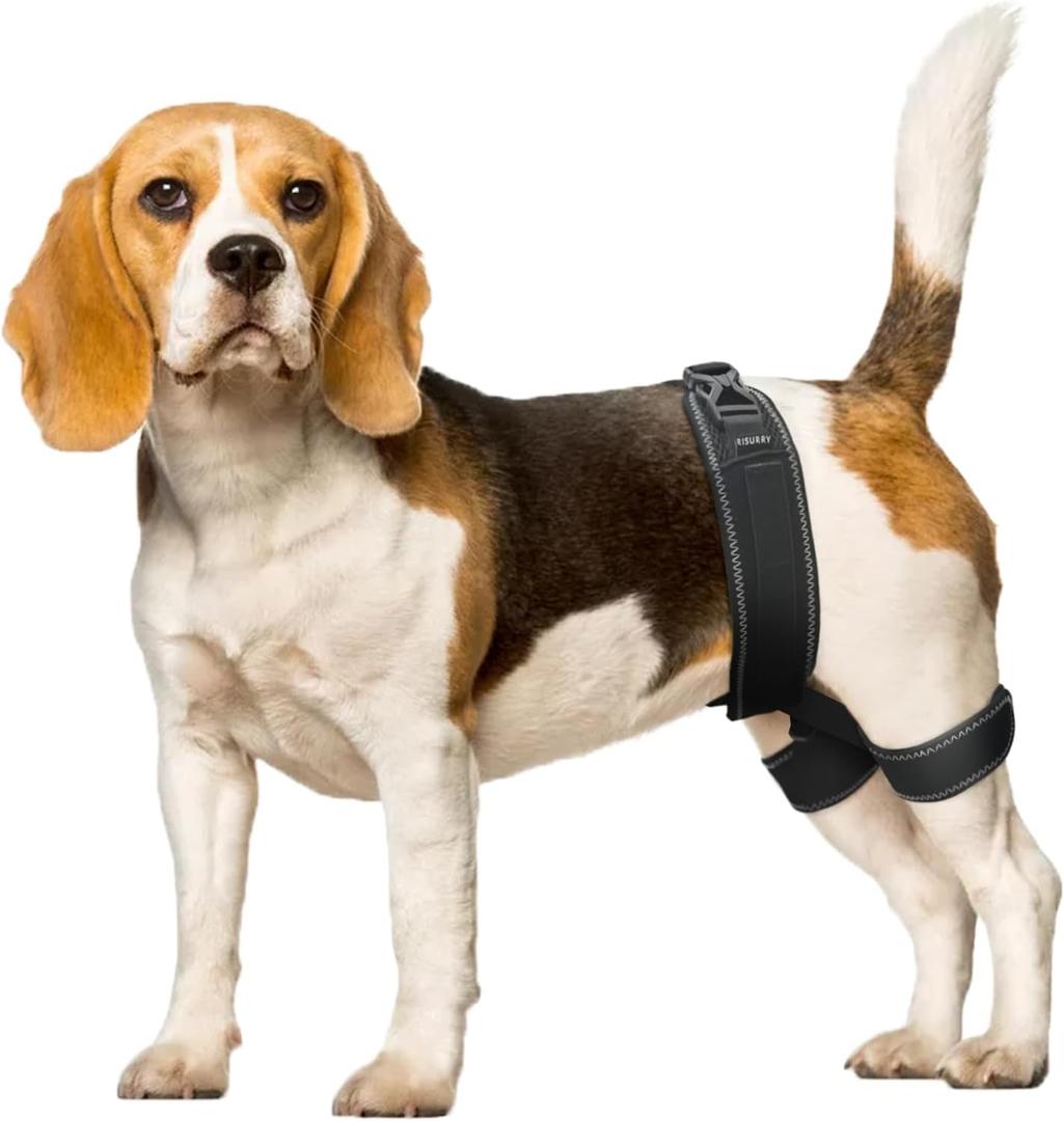 CHAMIN Dog Hip Brace  Support Harness for Hip Dysplasia, Joint Pain Relief, Prevents Hip Joint Issues, Orthopedic Support for Dogs(Medium)
