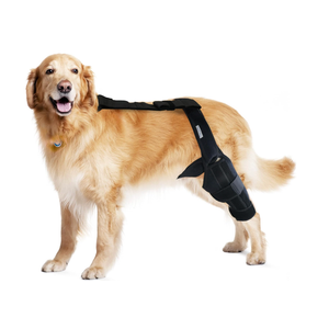 Dog Knee Brace for Torn ACL, Hip Dysplasia, Dog CCL Brace Front Leg or Rear Leg, Black, Small