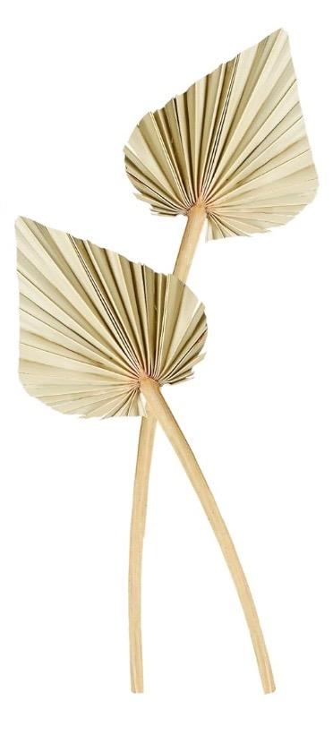 Dried Palm Leaves 2 Pcs Naturally Dried Palm Spears Bouquet for Boho Wedding, Tropical Home Decor, Table Arrangements – Eco-Friendly Handcrafted Palm Fans