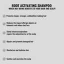 3 x Root Activator Hair Loss Thickening Shampoo for Hair Regrowth, Unisex, Natural Formula for Men and Women1 PCS