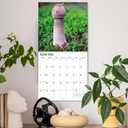 10 x 2026 Funny Wall Calendar 12 Month, Large Wall Calendar 2026 from January to December 2026, Natures Pics Funny Gag Gift for Adults, White Elephant Gift, Thick Glossy Paper, 12"x24" Open
