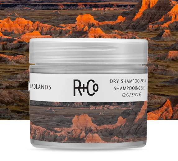 R+Co Badlands Dry Shampoo Paste | Part Dry Shampoo, Part Styling Paste | Adds Texture, Absorbs Oil, Matte Finish | 2.2 oz
