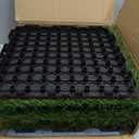 XLX TURF Interlocking Fake Grass Tiles Pad for Dogs Potty Training- 12" x 12" Pet Artificial Grass Squares with Drainage, 6 Pack