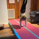 VOFiTNY All Purpose Gymnastics Mat 6.6/10/13/16/20 ft Sturdy Inflatable Tumble Track for Home/Gym