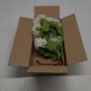 DILATATA Faux Hydrangea Flowers 31" Cream Artificial Hydrangea Spray with 5 Flower Heads, 3 Per Bag.Faux Hydrangeas Plastic Flowers Fake Hydrangeas for Indoor Outdoor Wedding Table Centerpieces Decor (Cream #97)
